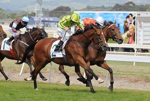 MILITARY MOVE Manawatu Cup